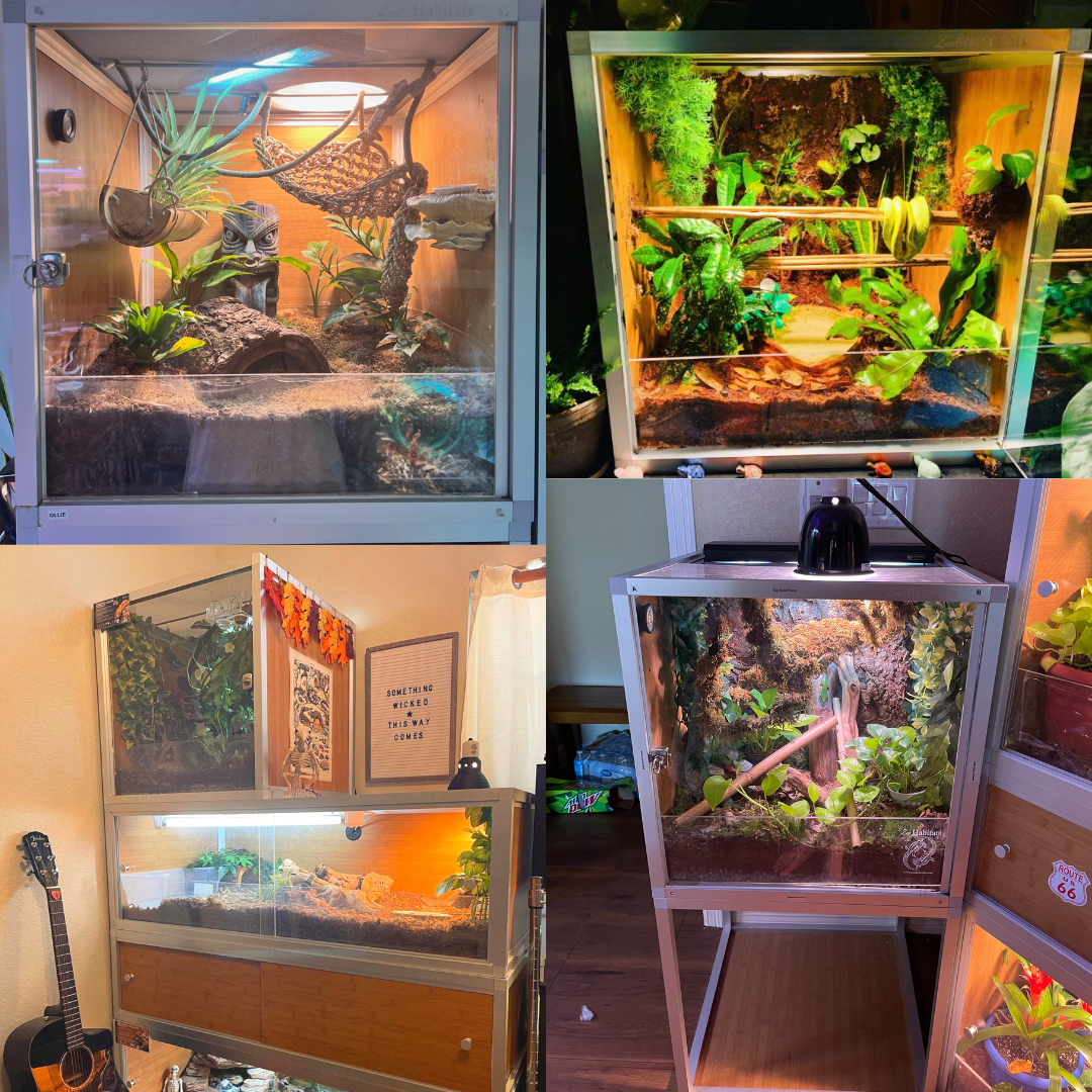 2'x2'x2' Reptile Enclosure - The Zen Habitat 3.0