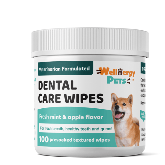 DENTAL CARE WIPES - dental wipes for dogs and cats