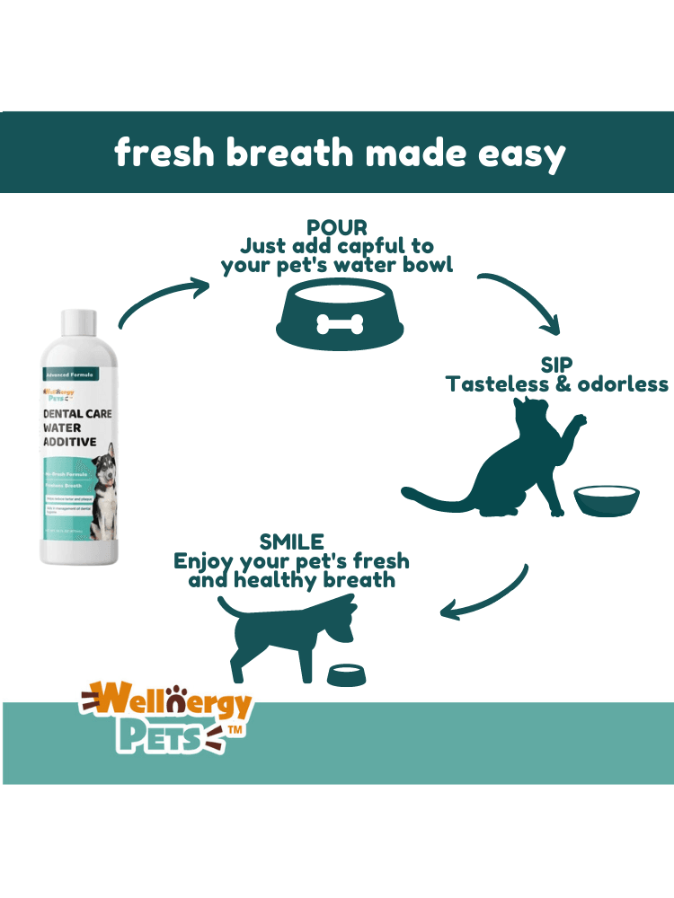 Wellnergy Pets Dental Care Combo for Dogs and Cats